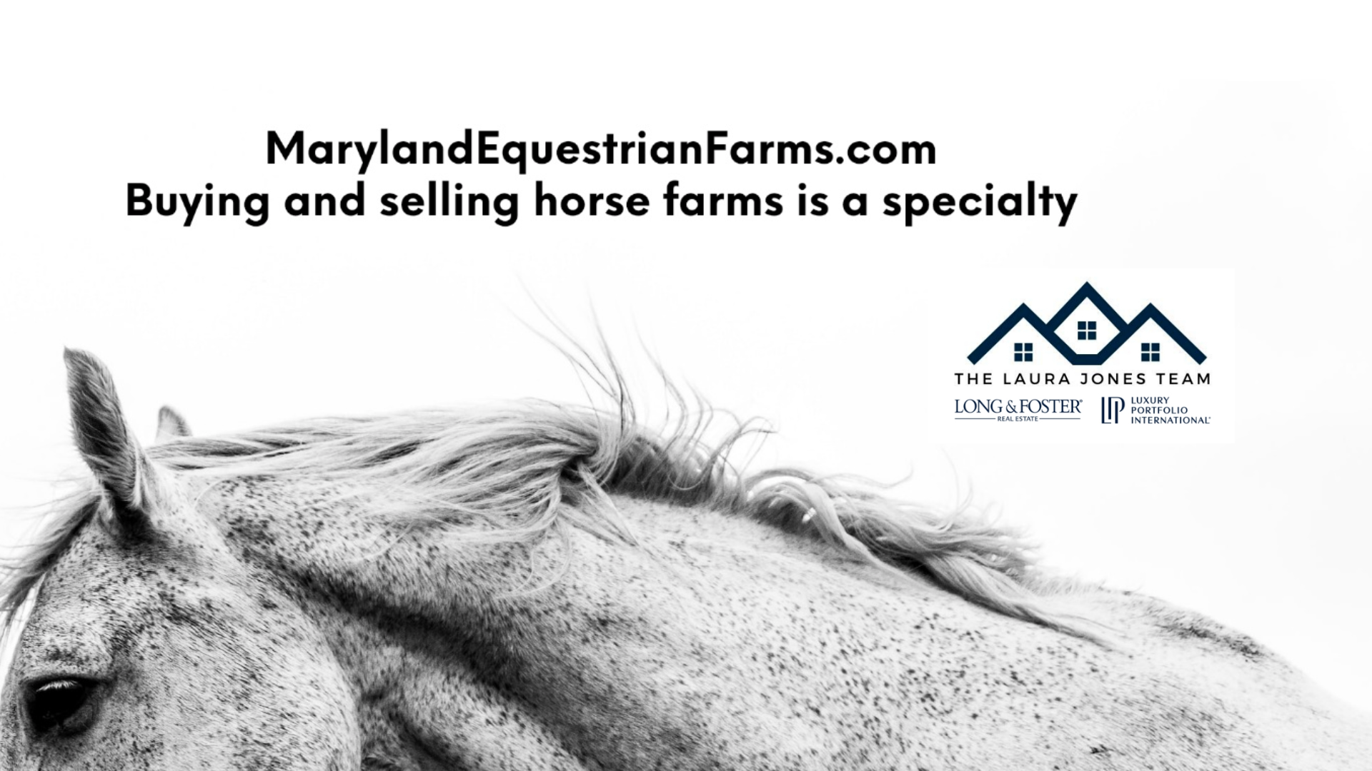 The Laura Jones Team - Long and Foster/Forbes Global Properties.